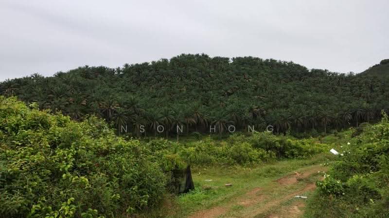 Agricultural Land for Sale in Rembau (Negeri Sembilan) - Anson Hong - Exterior - PropertyGuru.com.my