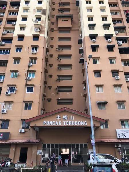 Rumah Flat untuk Dijual di Puncak Terubong - Harold Lee - Exterior - PropertyGuru.com.my