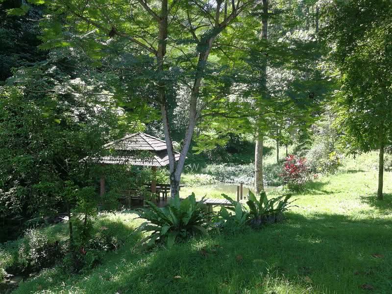 Agricultural Land for Sale in Sungai Penchala (Kuala Lumpur) - Jik Wafa - Garden - PropertyGuru.com.my