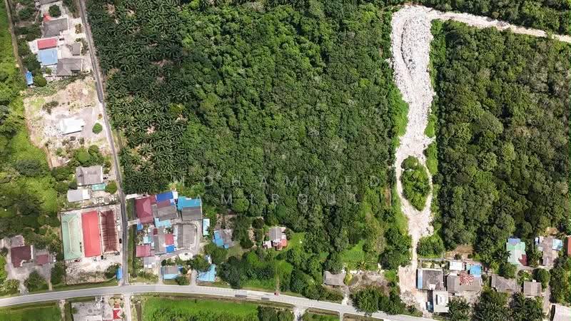 Tanah Pertanian untuk Dijual di Kampung Pok (Gelang Patah) - Mohammed Amiroul - Exterior - PropertyGuru.com.my