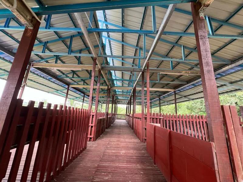 Agricultural Land for Sale in Sungai Petai (Melaka) - Hana Wahid - Exterior - PropertyGuru.com.my