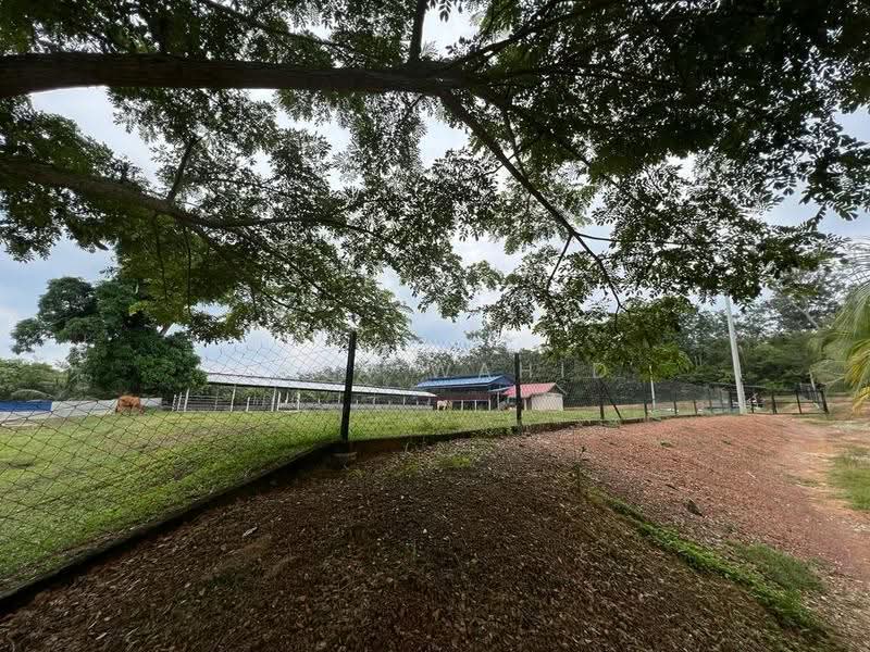 Agricultural Land for Sale in Sungai Petai (Melaka) - Hana Wahid - Exterior - PropertyGuru.com.my