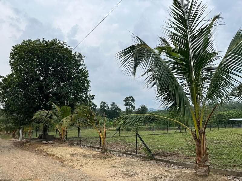 Agricultural Land for Sale in Sungai Petai (Melaka) - Hana Wahid - Exterior - PropertyGuru.com.my