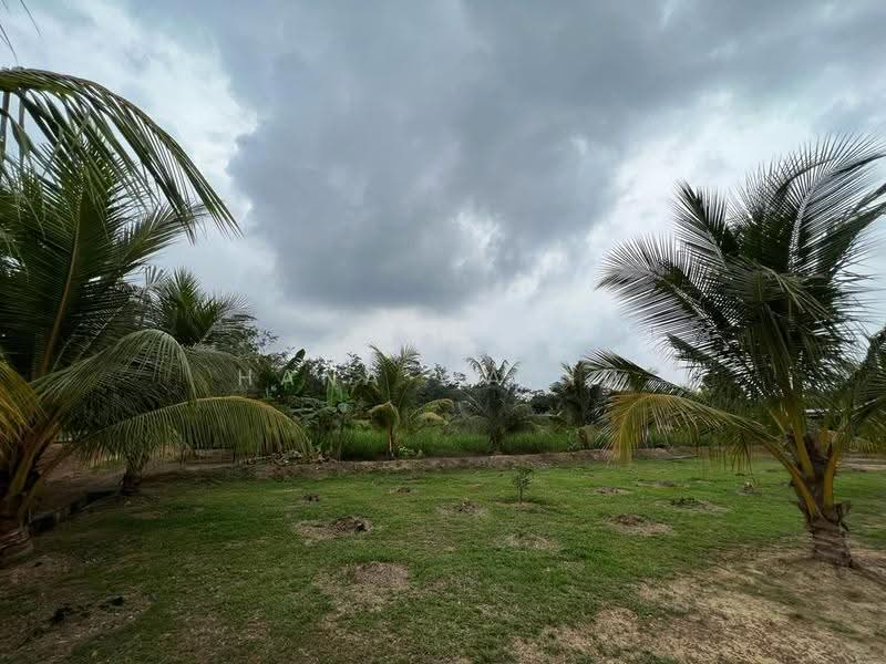 Agricultural Land for Sale in Sungai Petai (Melaka) - Hana Wahid - Garden - PropertyGuru.com.my