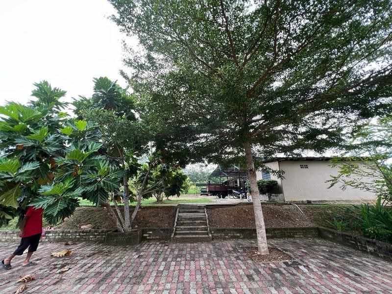 Agricultural Land for Sale in Sungai Petai (Melaka) - Hana Wahid - Exterior - PropertyGuru.com.my