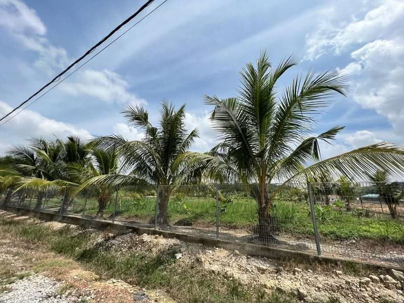 Agricultural Land for Sale in Sungai Petai (Melaka) - Hana Wahid - Garden - PropertyGuru.com.my