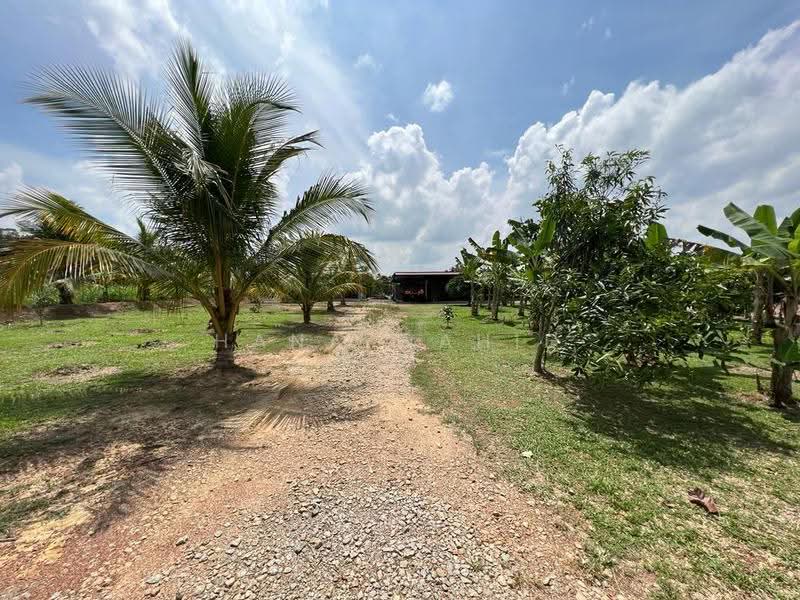 Agricultural Land for Sale in Sungai Petai (Melaka) - Hana Wahid - Exterior - PropertyGuru.com.my
