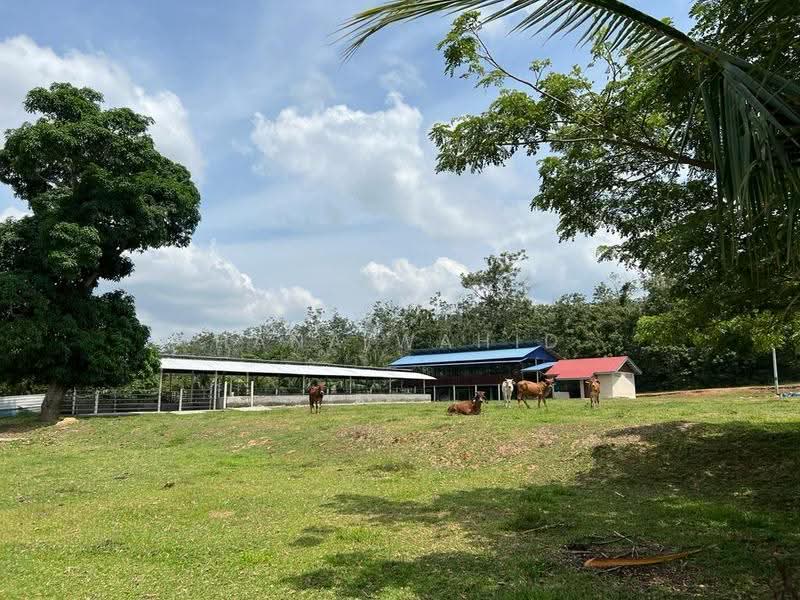 Agricultural Land for Sale in Sungai Petai (Melaka) - Hana Wahid - Exterior - PropertyGuru.com.my