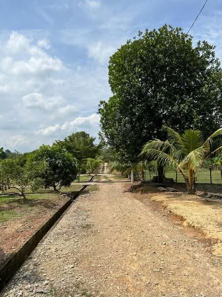 Agricultural Land for Sale in Sungai Petai (Melaka) - Hana Wahid - Exterior - PropertyGuru.com.my