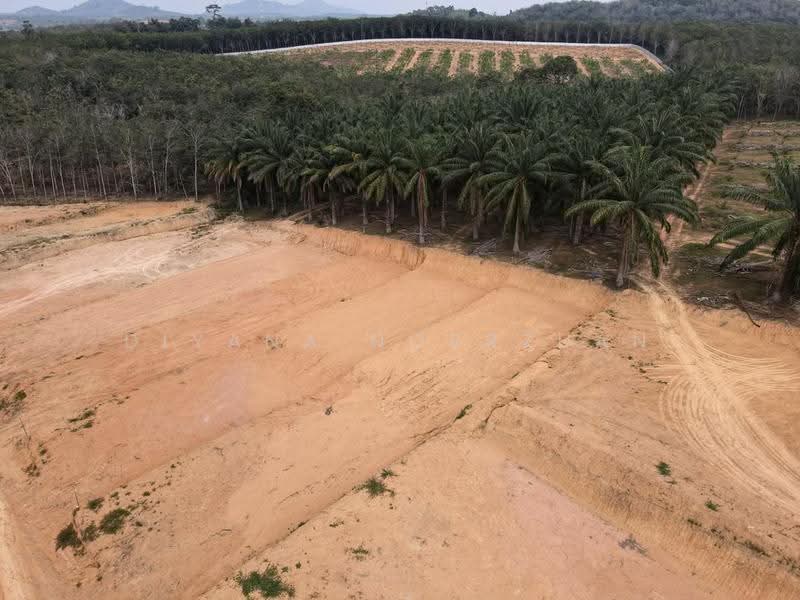 Commercial Land for Sale in Alor Gajah (Melaka) - Diyana Norrzuan - PropertyGuru.com.my
