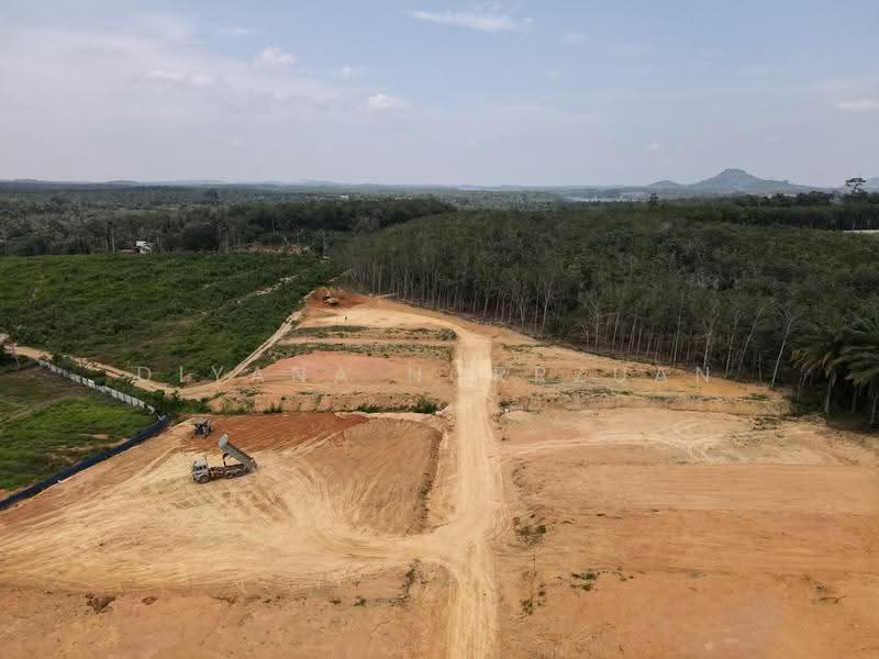 Commercial Land for Sale in Alor Gajah (Melaka) - Diyana Norrzuan - PropertyGuru.com.my