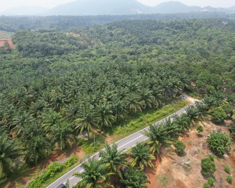 Agricultural Land for Sale in Sungai Karang (Pahang) - Kenny Loo - Exterior - PropertyGuru.com.my