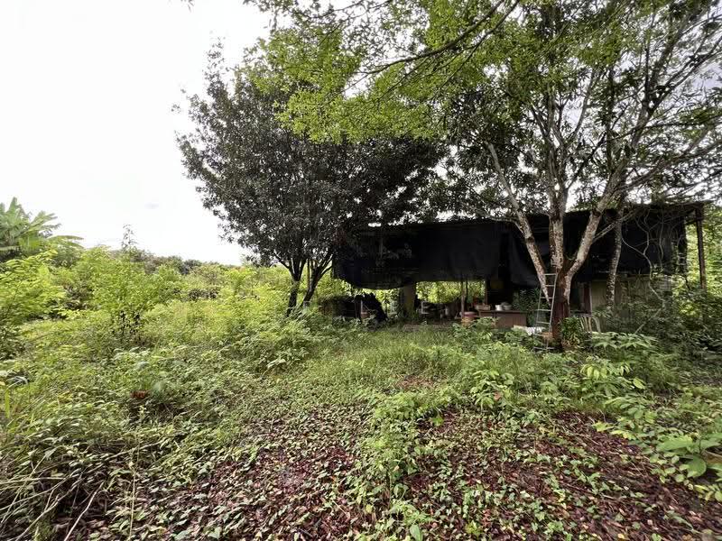 Agricultural Land for Sale in Mantin (Negeri Sembilan) - TF Lee - Exterior - PropertyGuru.com.my