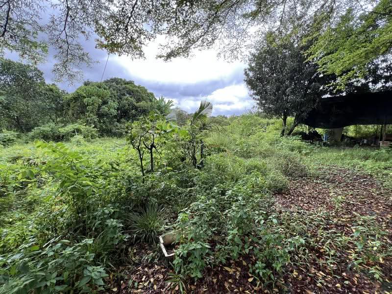 Agricultural Land for Sale in Mantin (Negeri Sembilan) - TF Lee - Exterior - PropertyGuru.com.my