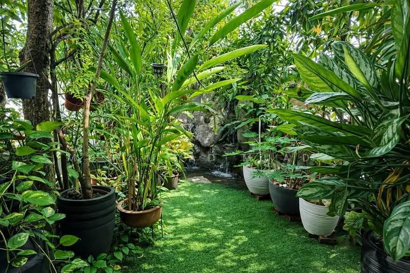 2-storey Terraced House for Sale in Subang Jaya (Selangor) - Muhammad Muadz - Garden - PropertyGuru.com.my