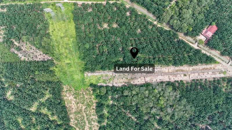Tanah Pertanian untuk Dijual di Taman Bukit Bakri (Bakri) - ALHAFIZ AZIS - PropertyGuru.com.my