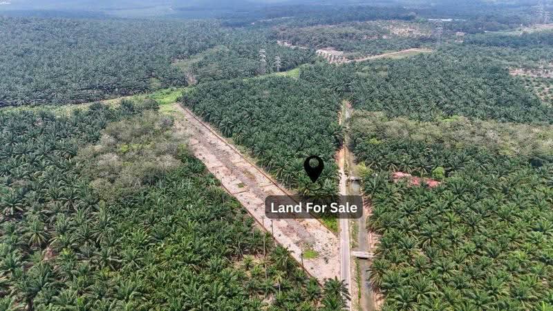 Tanah Pertanian untuk Dijual di Taman Bukit Bakri (Bakri) - ALHAFIZ AZIS - Exterior - PropertyGuru.com.my