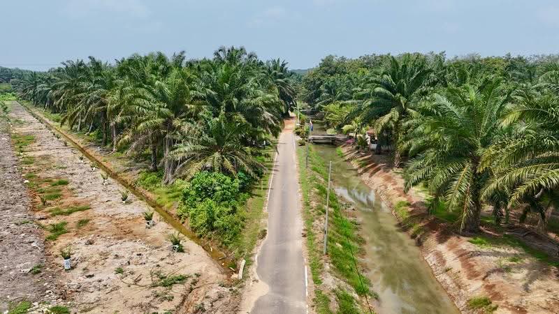 Tanah Pertanian untuk Dijual di Taman Bukit Bakri (Bakri) - ALHAFIZ AZIS - Exterior - PropertyGuru.com.my