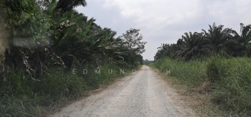 Tanah Perindustrian untuk Dijual di Pontian (Johor) - Edmund Oh - Exterior - PropertyGuru.com.my