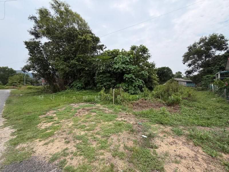 Tanah Kediaman untuk Dijual di Kampung Nyior (Kuala Paka) - Muhammad Najmi - Exterior - PropertyGuru.com.my