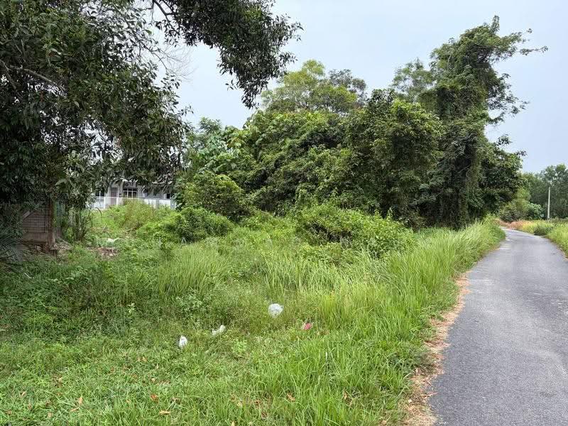 Tanah Kediaman untuk Dijual di Kampung Nyior (Kuala Paka) - Muhammad Najmi - Exterior - PropertyGuru.com.my