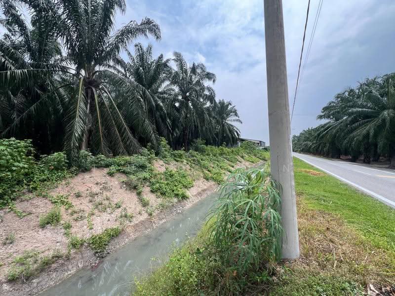 Commercial Land for Sale in Ijok Batu 8 (Ijok) - Taufiq Azlan - Exterior - PropertyGuru.com.my