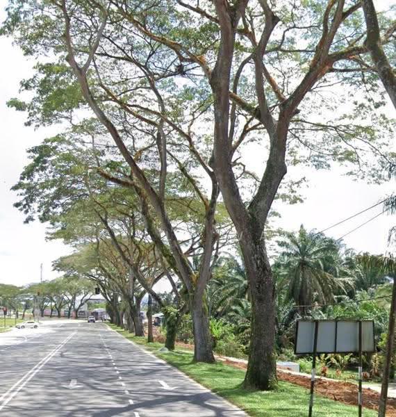 Tanah Kediaman untuk Dijual di Taman Pulai Indah (Johor Bahru) - Kelly Wai - Exterior - PropertyGuru.com.my