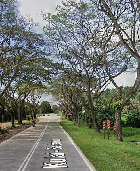Tanah Kediaman untuk Dijual di Taman Pulai Indah (Johor Bahru) - Kelly Wai - Exterior - PropertyGuru.com.my