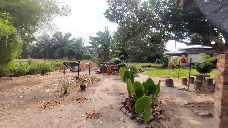 1-storey Terraced House for Sale in Banting (Selangor) - Shahidan Ismail - Garden - PropertyGuru.com.my