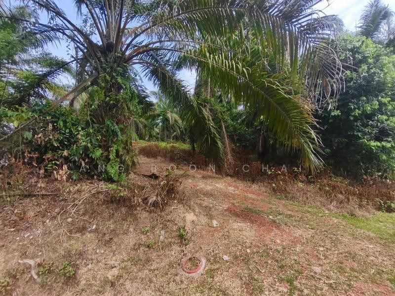Tanah Pertanian untuk Dijual di Kluang (Johor) - Ang Boon Chai - Exterior - PropertyGuru.com.my