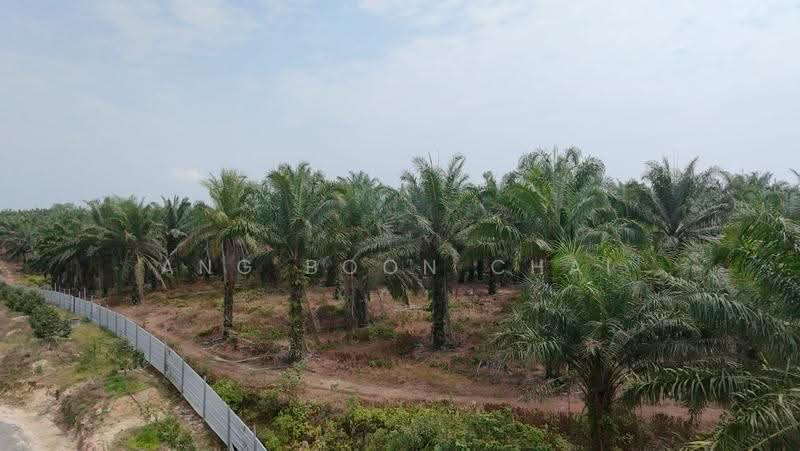 Tanah Pertanian untuk Dijual di Kluang (Johor) - Ang Boon Chai - Exterior - PropertyGuru.com.my
