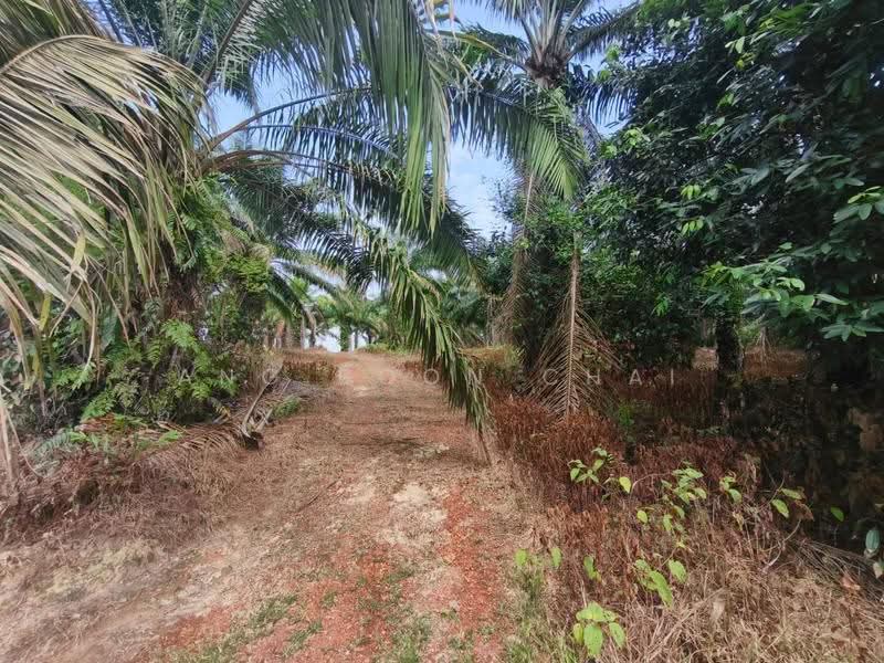Tanah Pertanian untuk Dijual di Kluang (Johor) - Ang Boon Chai - Exterior - PropertyGuru.com.my