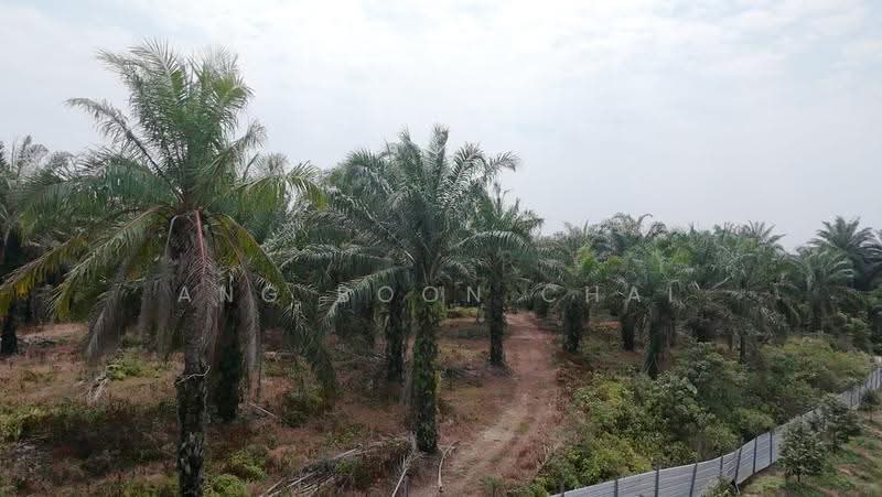 Tanah Pertanian untuk Dijual di Kluang (Johor) - Ang Boon Chai - Exterior - PropertyGuru.com.my