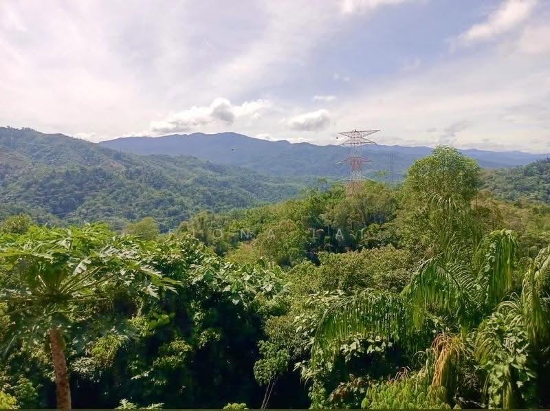 Agricultural Land for Sale in Penampang (Penampang) - Fiona Lai - View - PropertyGuru.com.my