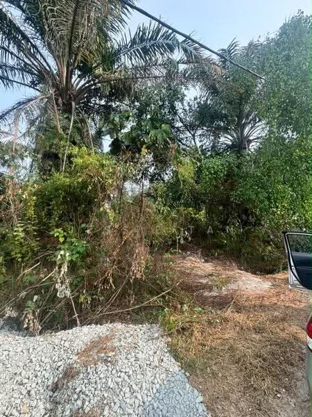 Agricultural Land for Sale in Pekan Nanas (Johor) - Jessie Tan - Exterior - PropertyGuru.com.my