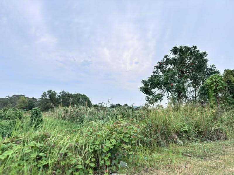Industrial Land for Sale in Pekan Nanas (Johor) - Janice Pang - Exterior - PropertyGuru.com.my