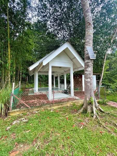 Agricultural Land for Sale in Batu 20 (Hulu Langat) - Muizz Razak - PropertyGuru.com.my
