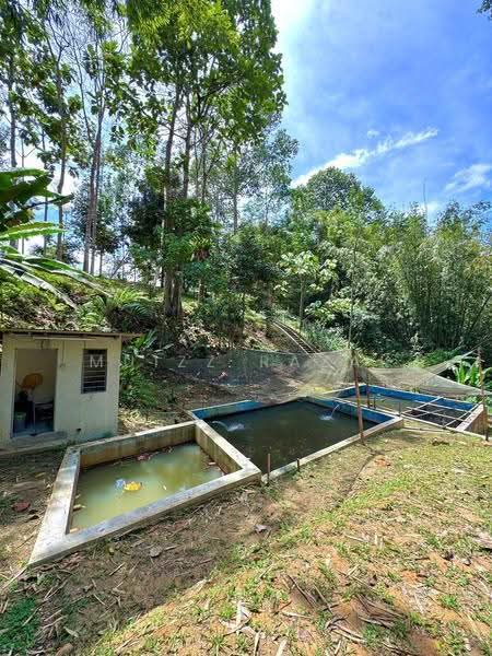 Agricultural Land for Sale in Batu 20 (Hulu Langat) - Muizz Razak - PropertyGuru.com.my