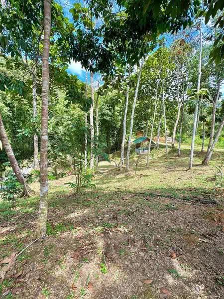Agricultural Land for Sale in Batu 20 (Hulu Langat) - Muizz Razak - PropertyGuru.com.my