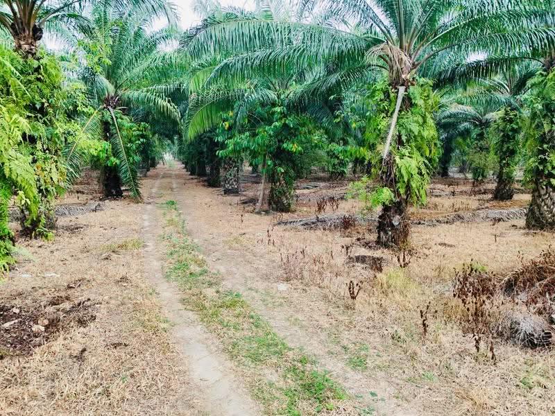 Tanah Pertanian untuk Dijual di Kota Warisan (Sepang) - Yasmin Sulaiman - PropertyGuru.com.my