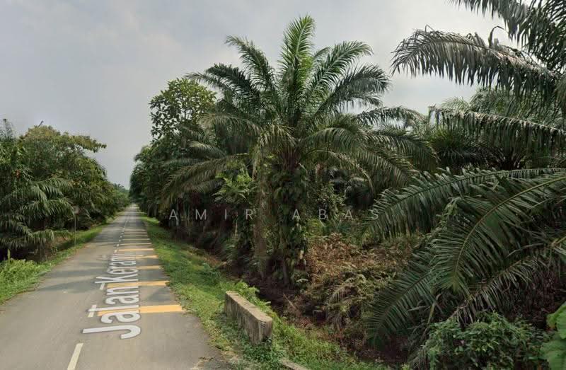 Tanah Pertanian untuk Dijual di Banting (Selangor) - Amir Abas - PropertyGuru.com.my