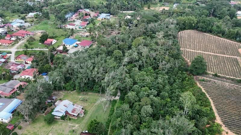 Agricultural Land for Sale in Janda Baik (Bentong) - Amir Abas - Exterior - PropertyGuru.com.my