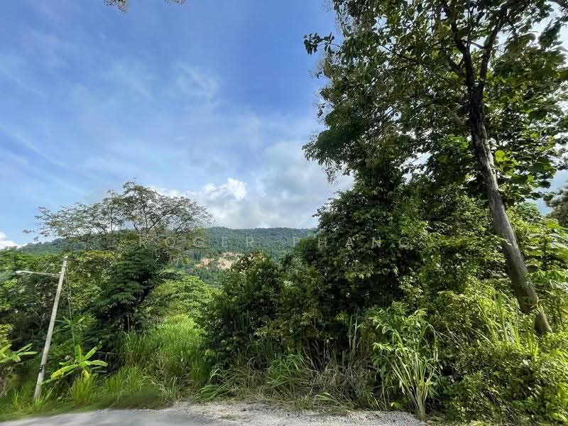 Agricultural Land for Sale in Ulu Melaka (Kedah) - Roger Phang - Exterior - PropertyGuru.com.my