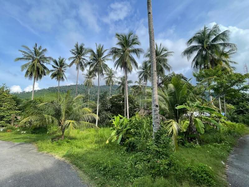 Agricultural Land for Sale in Ulu Melaka (Kedah) - Roger Phang - Exterior - PropertyGuru.com.my