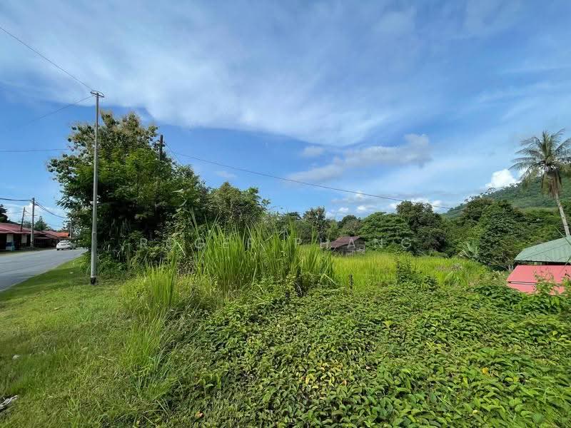 Agricultural Land for Sale in Ulu Melaka (Kedah) - Roger Phang - Exterior - PropertyGuru.com.my