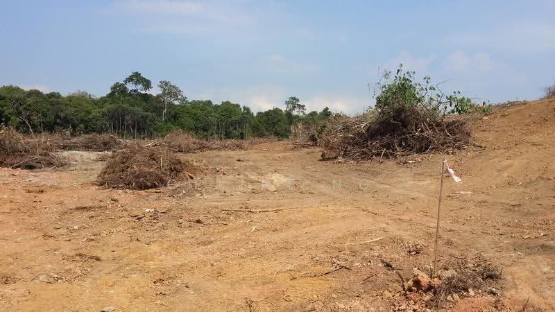 Industrial Land for Sale in Kawasan Perindustrian Tanjung Langsat (Pasir Gudang) - Celine Ng - Exterior - PropertyGuru.com.my