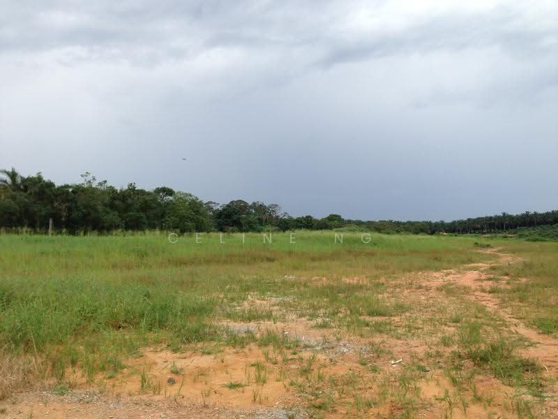 Industrial Land for Sale in Kawasan Perindustrian Tanjung Langsat (Pasir Gudang) - Celine Ng - Exterior - PropertyGuru.com.my