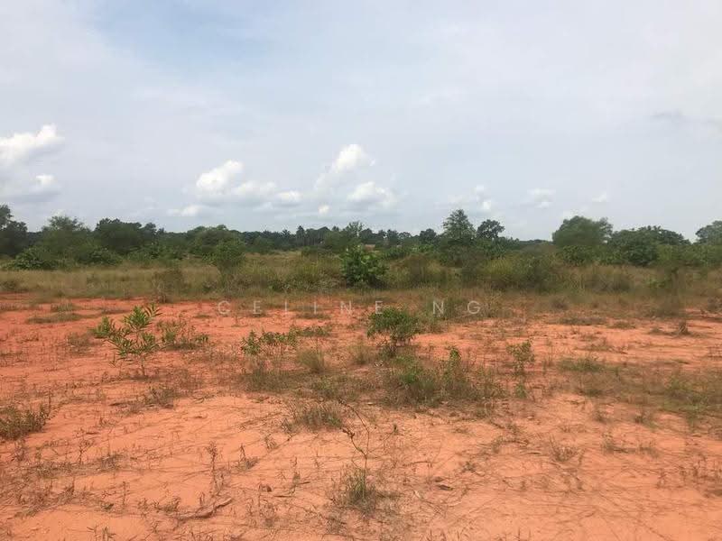 Industrial Land for Sale in Kawasan Perindustrian Tanjung Langsat (Pasir Gudang) - Celine Ng - Exterior - PropertyGuru.com.my