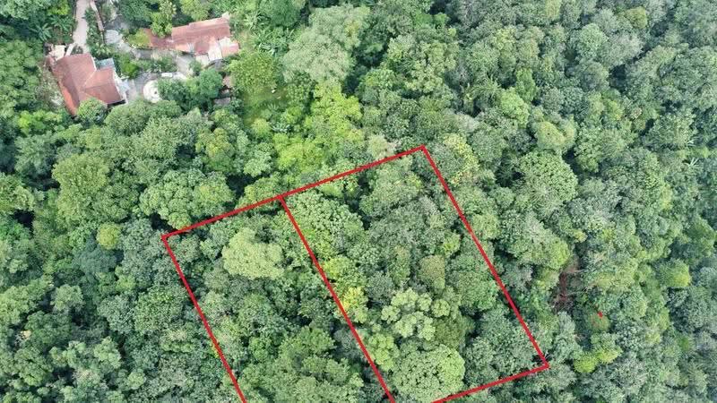 Tanah Pertanian untuk Dijual di Kampung Bukit Lanjan (Sungai Penchala) - NIK AZWAN - Exterior - PropertyGuru.com.my