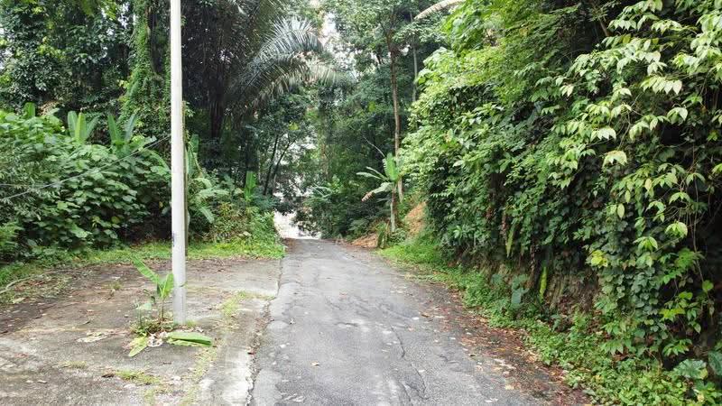 Tanah Pertanian untuk Dijual di Kampung Bukit Lanjan (Sungai Penchala) - NIK AZWAN - Exterior - PropertyGuru.com.my